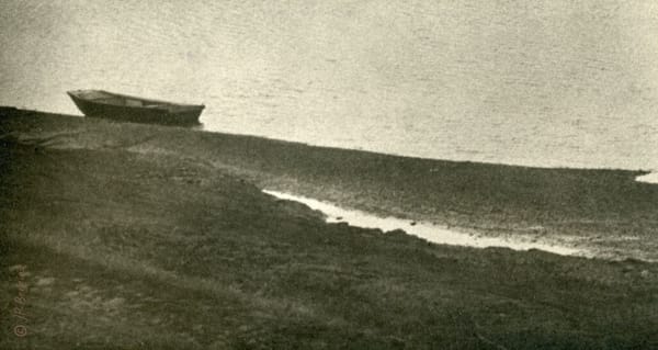 Témoignages sur la fin de vie : participez au débat qui est relancé à l'assemblée nationale